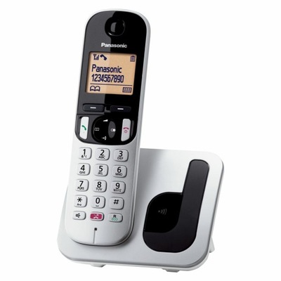 Telefon Bezprzewodowy Panasonic KX-TGC250 Szary