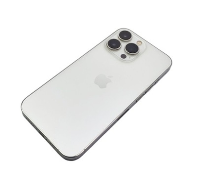 Oryginalny Uzbrojony Korpus Apple Iphone 13 Pro Silver