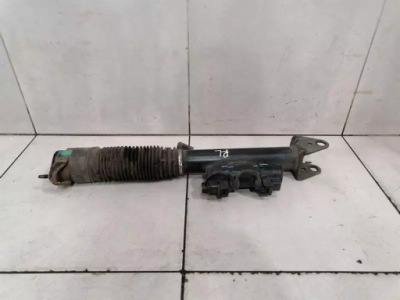 Mercedes gle w292 c292 shock абсорбер rear a2923200430 left фото №1