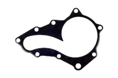 POMPE À EAU GRAF R2AA15010H R2AA15010E R2AA15010F R 