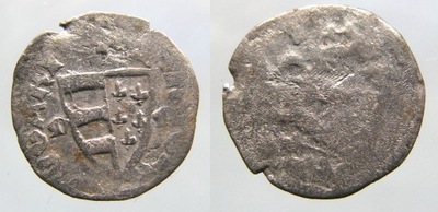 B269 Węgry Karol Robert Andegaweński 1307-42 denar