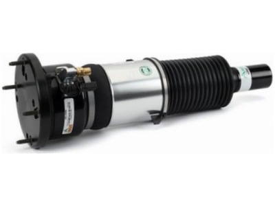 Амортизатор пневматичний arnott as-3309 фото №1