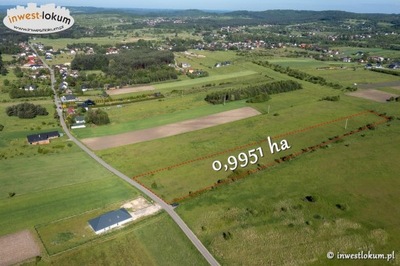 Działka, Ryczówek, Klucze (gm.), 9951 m²