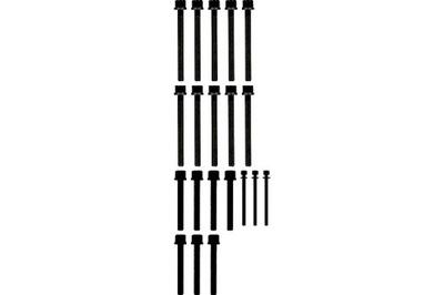 Набір гвинт головки циліндрів mercedes v 638 2 ford galaxy i galaxy фото №1