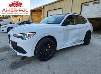 Alfa Romeo Stelvio Ti 2021 2.0l 2.0 Benzyna 280KM