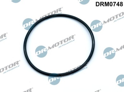 ПРОКЛАДКА ВАКУУМНЫЙ НАСОСА DRM0748 DR.MOTOR AUTOMOTIVE DR.MOTOR DRM0748 фото