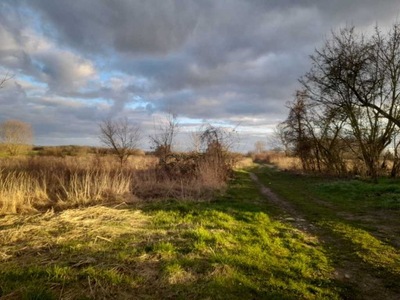 Działka, Jenikowo, Maszewo (gm.), 1200 m²