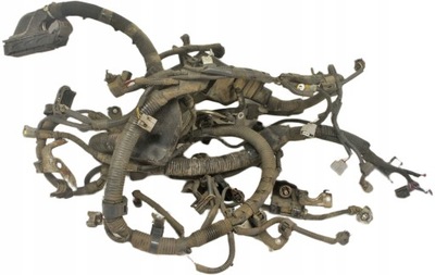 Tv407 lexus rx iii 3.5i жгут двигателя фото №1