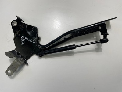 Петля капот правий renault scenic iii grand scenic фото №1