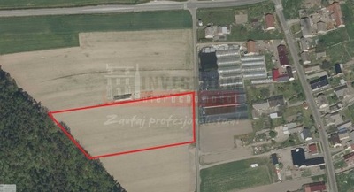 Działka, Dąbrówka, 13433 m²