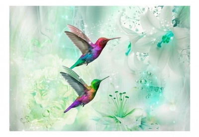 Fototapeta - Kolorowe kolibry (zielony) - 300X210