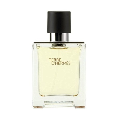 Hermes Terre D Hermes (M) Edt 100ml