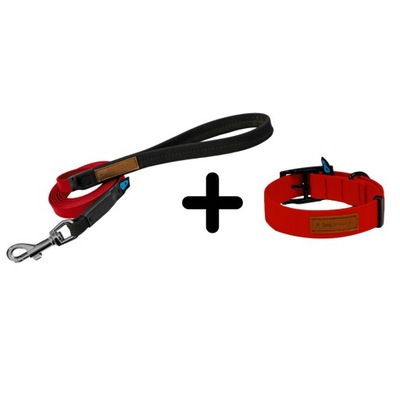 DOGCESSORIES CZERWONA SMYCZ 16MM/5M + OBROŻA DLA PSA