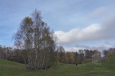 Działka, Sarnikierz, 84400 m²