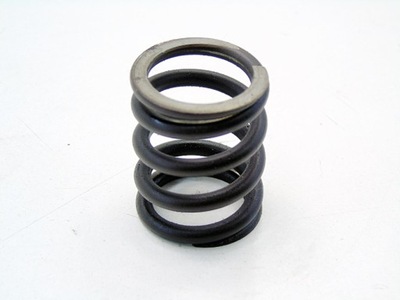 Пружина клапана головки 1.2 8v albea palio siena strada punto 75km фото №1