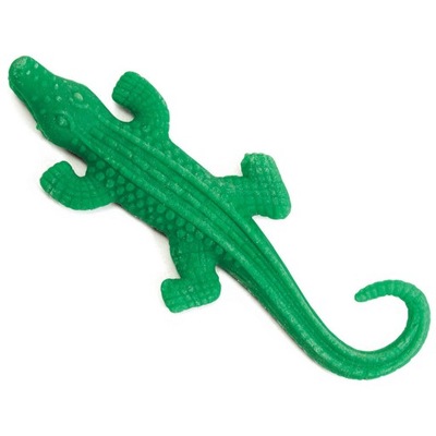 Rosnące zwierzę krokodyl aligator (WIELKI!)
