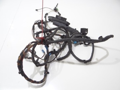 Джгут двері лівий перед bmw f10 f11 фото №1