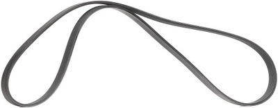 Ремень motorcraft 6pk1354 / bl3e6c301ba ford f-150 фото №1