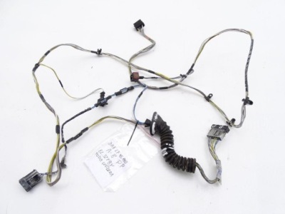 Daf lf 45 55 06-13 e4/5 жгут дверь правая фото №1