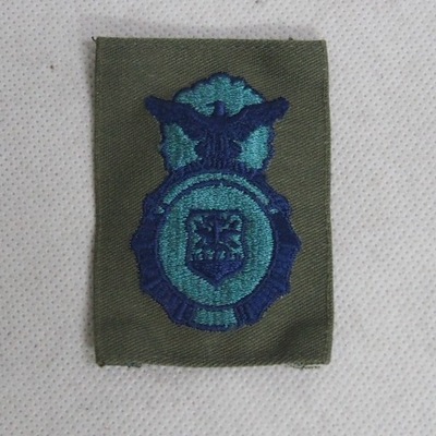 NASZYWKA USAF SECURITY POLICE BDU - NOWA