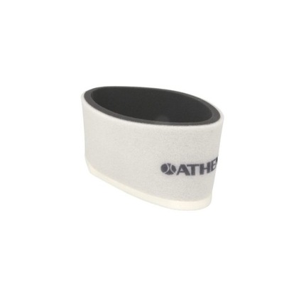 FILTRAS ORO ATHENA S410250200022 