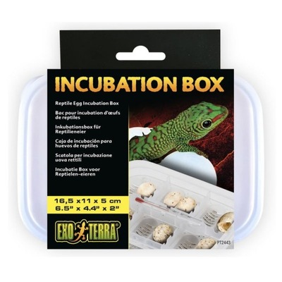 EXO TERRA Incubation Box do inkubacji jaj gadów