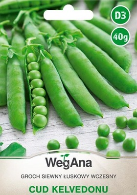 WegAna Groch Cud Kelvedonu 40g