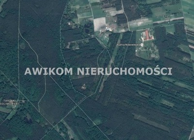 Działka, Nowa Wieś, 40000 m²