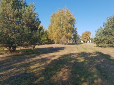 Działka, Kawęczyn, 11800 m²