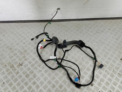 Vw atlas cross lift 2021 жгут дверь правый перед 3cn971121bs фото №1