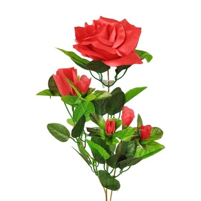 Róża gałązka czerwona