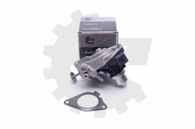 VALVE EGR SKV 14SKV233  