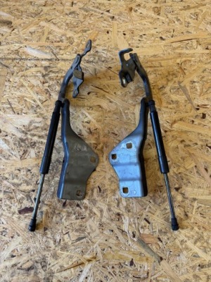 Петлі капот правий лівий комплект renault scenic iv terpr bixul фото №1