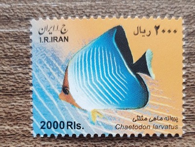 Fauna - Ryby - Iran