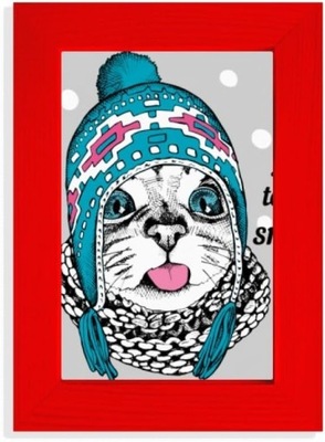 Głowa kota smak śniegu kot chroni zwierzę zwierzę zwierzę zdjęcie wystawa s