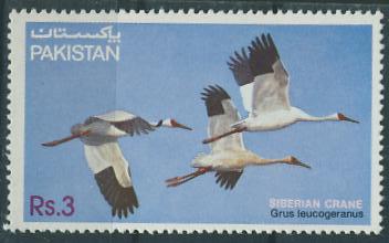 Pakistan nr 593 ** bocian fauna ptaki