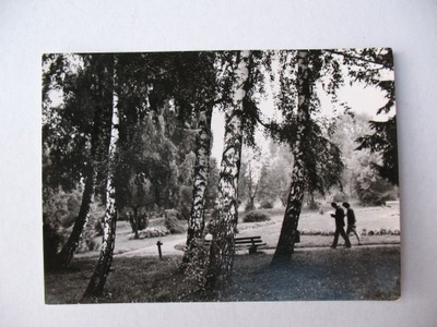 RAWA MAZOWIECKA W PARKU 1966