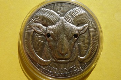 500 TUGRIK MONGOLIA 2013 OWCA ARGALI OVIS AMMON