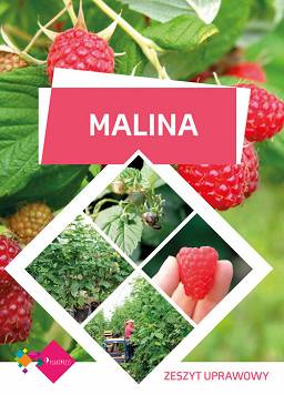 Malina – zeszyt uprawowy uprawa odmiany maliny