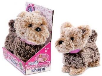 PIESEK CHODZĄCY NA SMYCZY