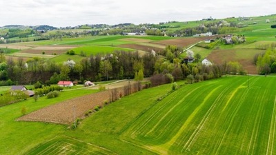 Działka, Ołpiny, Szerzyny (gm.), 4000 m²