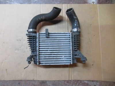 Nissan juke інтеркулер фото №1