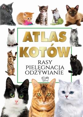 Koty - Encyklopedia PIELĘGNACJA OPISY RAS KOTÓW