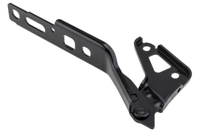 Nty ezc-au-195 петля, кришка відсік двигуна фото №1