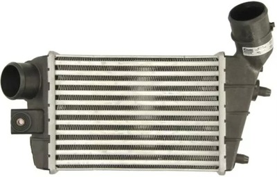 NISSENS AUŠINTUVAS INTERCOOLER 96698 