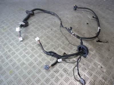 Джгут двері правий перед qashqai j10 24125jd06c фото №1