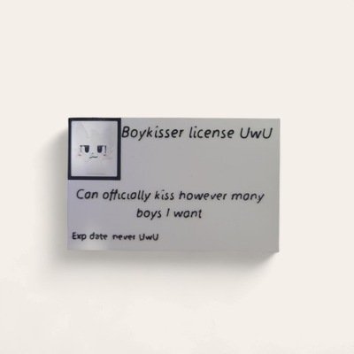 Licencja boykisser