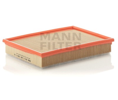 FILTRO AIRE MANN C 29 122/1  