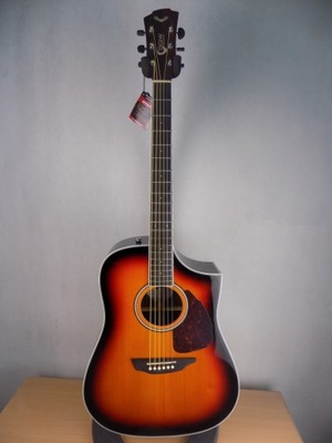 Gitara Samick SGW S550 3TS