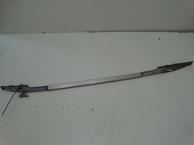 Рейлінг правий даховий renault laguna iii m700339 фото №1